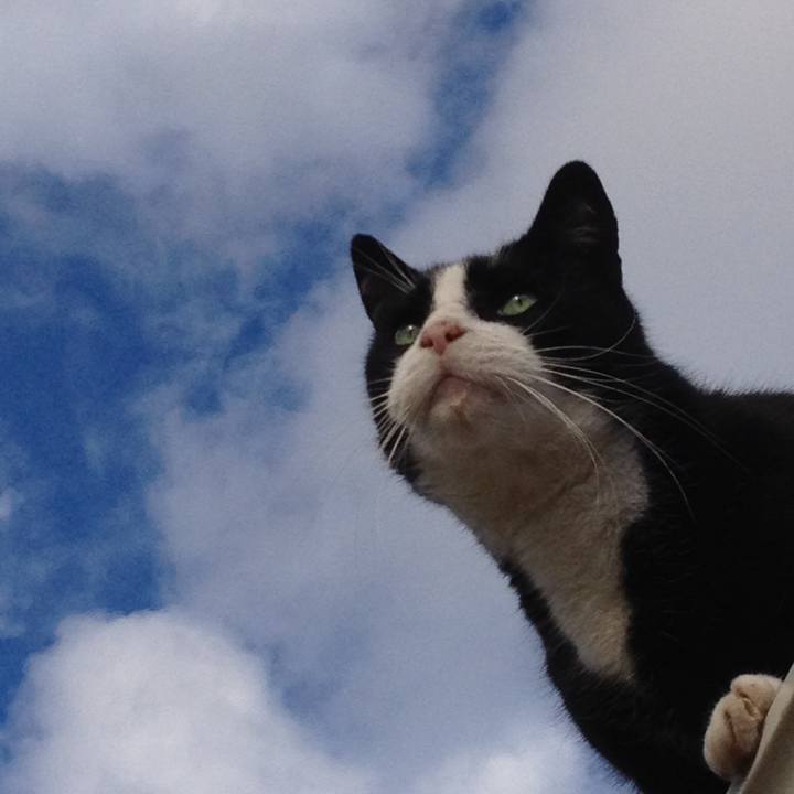 23a7a61d 775e 42b4 b547 e2a529414f83