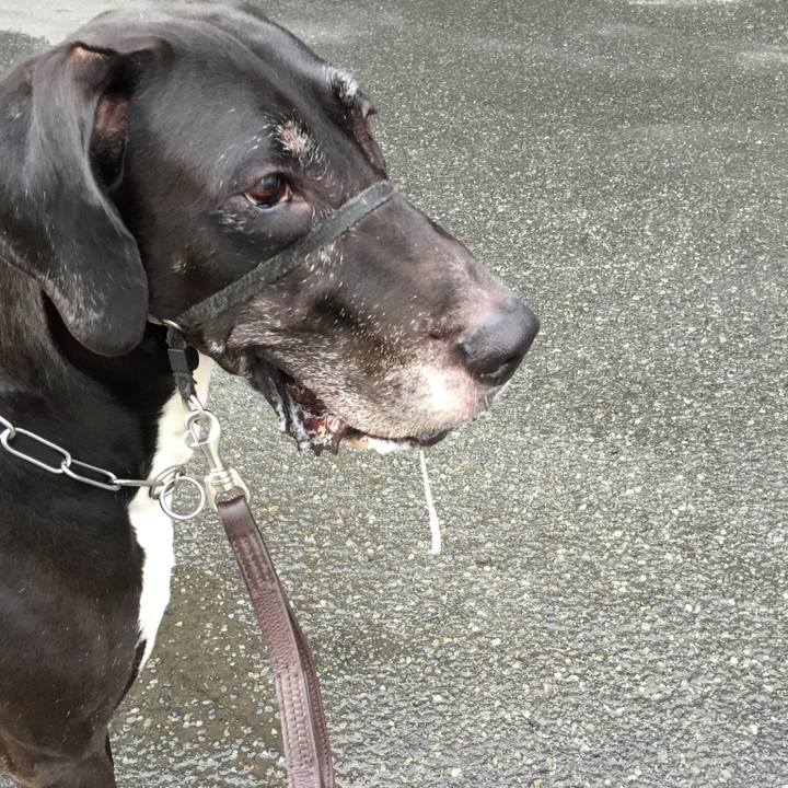 23a7d66f 507e 4e19 bb02 02afa50f779a