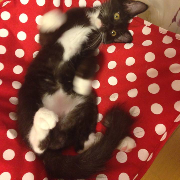 23a8acd4 5a68 4101 8e6b 17d143ae912b