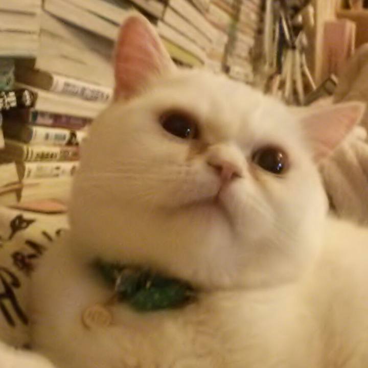 23a93617 1f6e 4d0a 865b 3108ff91fe7e