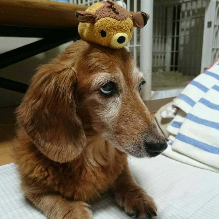 23a94a02 8ea7 42e4 ad15 88877ace515f