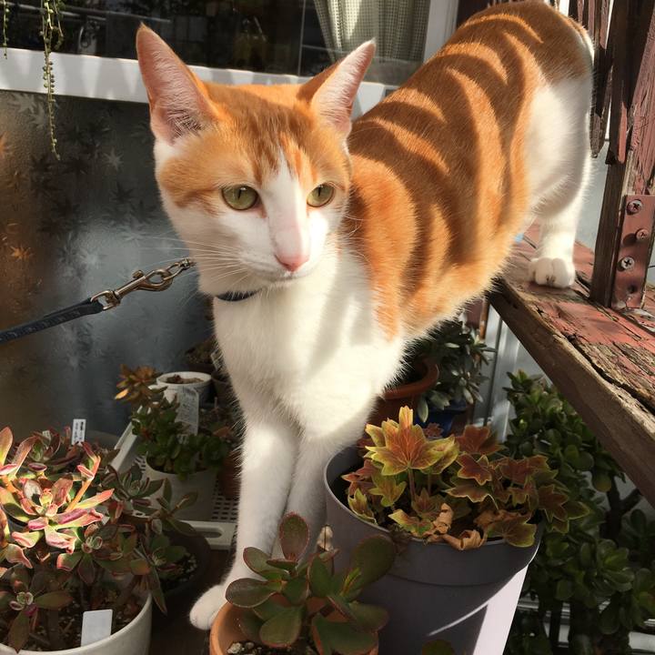 23a9fe1b 0d7a 42c0 9d50 6d7b4246365c