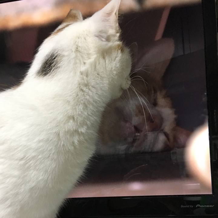 23ab9c8f caca 43b5 991e 6e40efd851d9