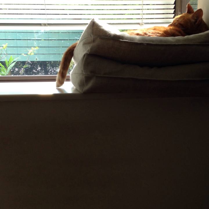 23abcf3e ea1d 436c b290 a3a80b50c122