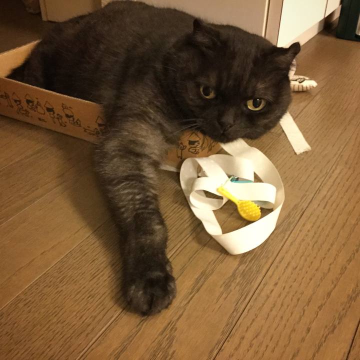 23abd4ee de9e 4dec 882b d097668123f1