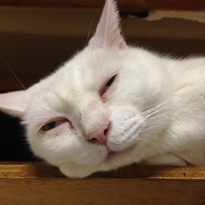 23abf713 de9e 4e00 b43f 893f6d40707a