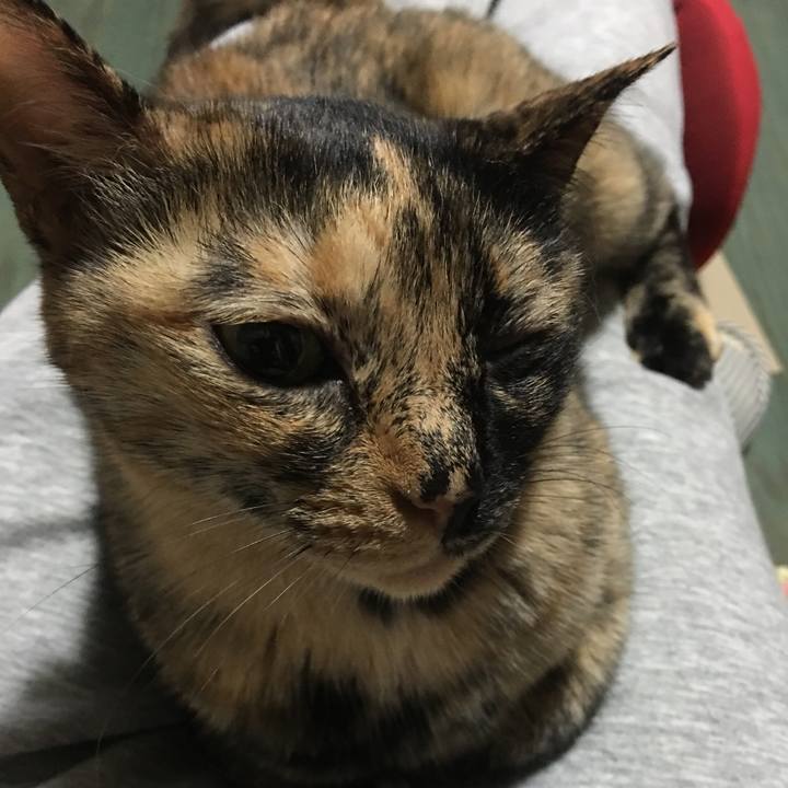 23ac9b6b 9f1c 4695 923b 8393fcfe38ac