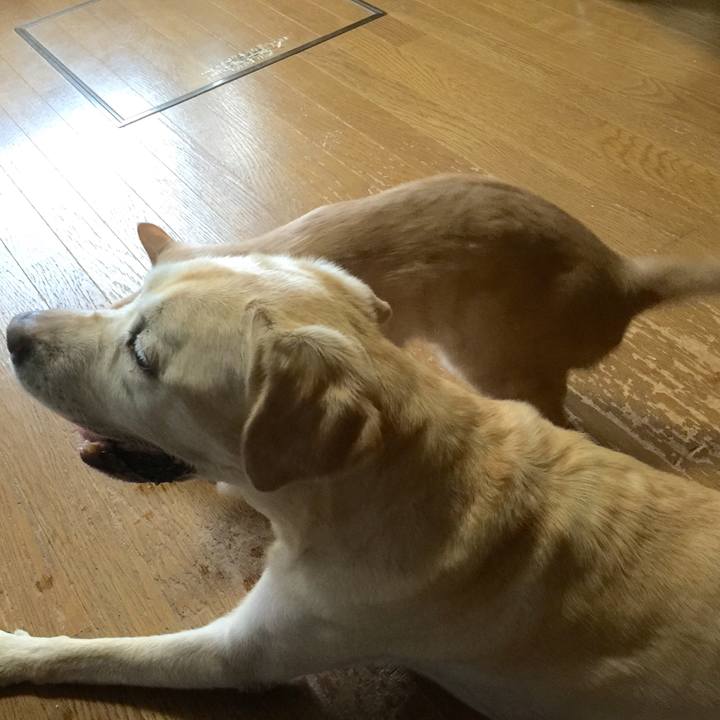 23acda06 1a1e 430a 9f8d 0f186bf6cdbe