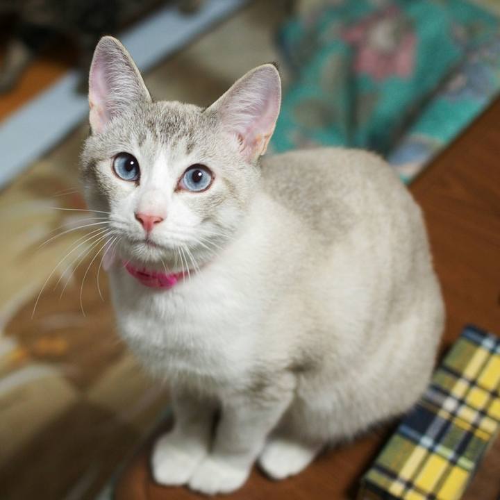 23acefd7 c0be 4e96 a5aa 328a50142c73