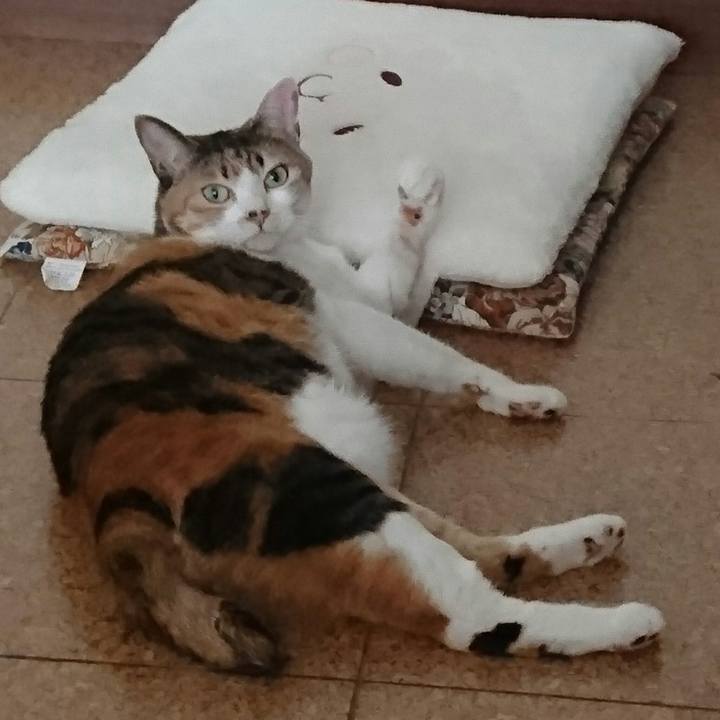 23ad3d19 b592 44e7 9245 1f97580c6807