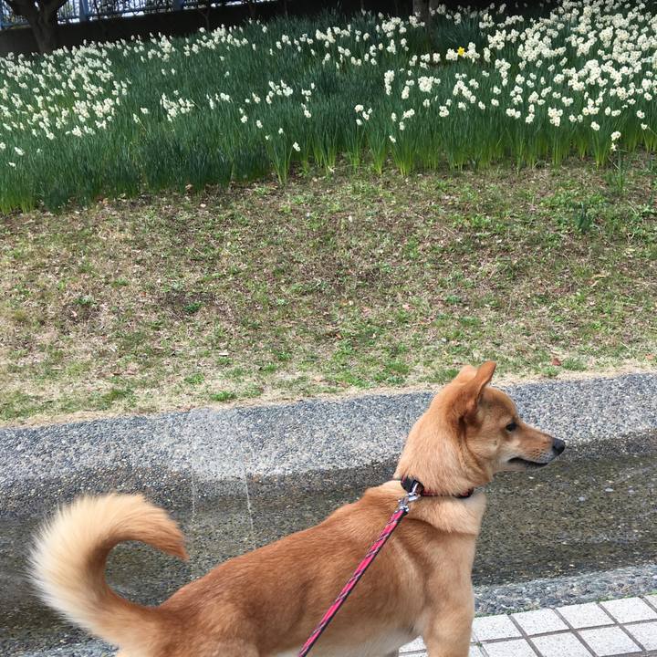 23ad92cf 7918 44c2 859e dfa265d0dd73