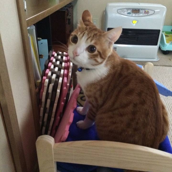 23ade2ab 96e8 4369 b36d c71e0017dc71