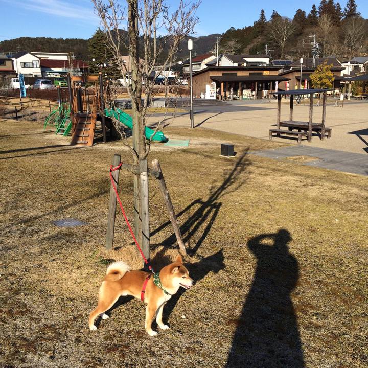 23af362b c86e 4a6f a447 8018464d628b