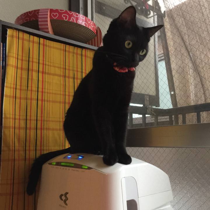 23af5018 d49e 4f70 b1a7 e0d40c946393