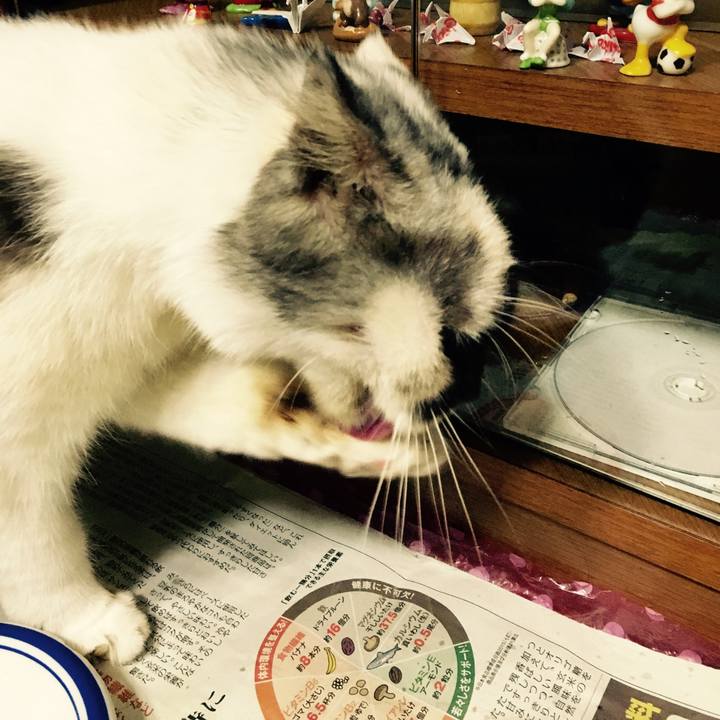 23af95c4 11bd 4303 809a c6e28dfe1255