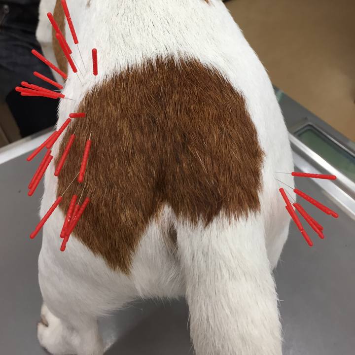 23b072c9 c169 47db 8bca 30568023212a