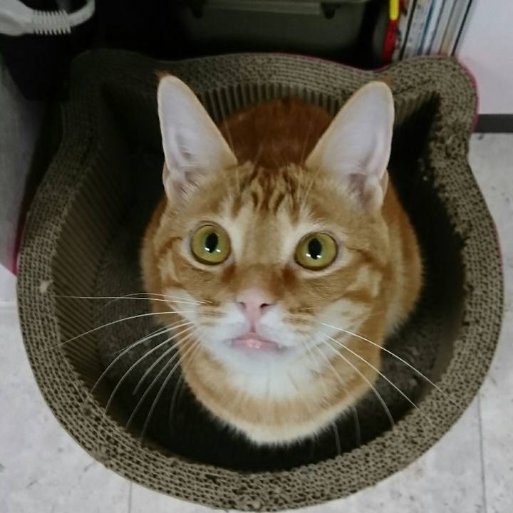 23b0a32a 9f89 4bef 8b97 24f32fb83642