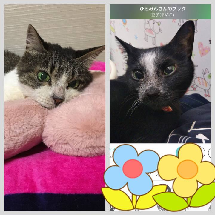 23b11116 c79b 45c4 8007 54ad1f557673