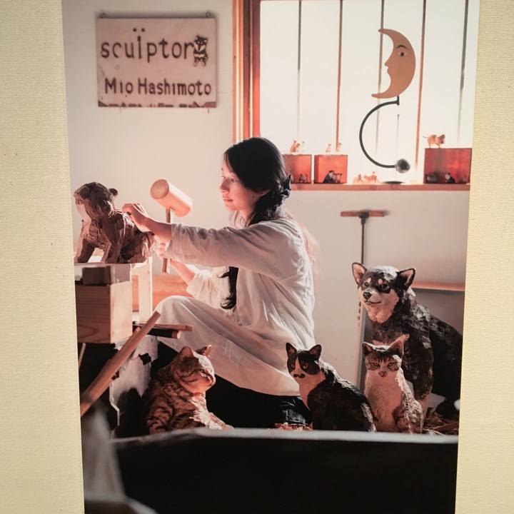 23b168fa 00e6 46d8 922e 3ea57f5be4d1