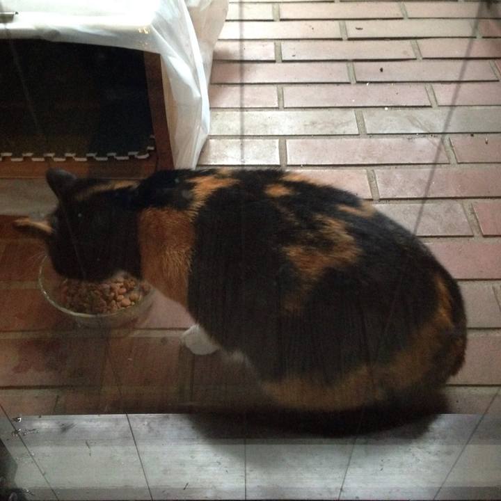 23b28a27 f6bb 48b9 8bb9 55dd714a2aab