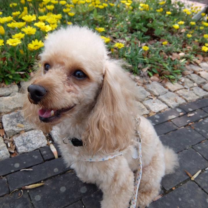 23b29f35 33bb 49ee 8297 0ac0ffd7f9a3