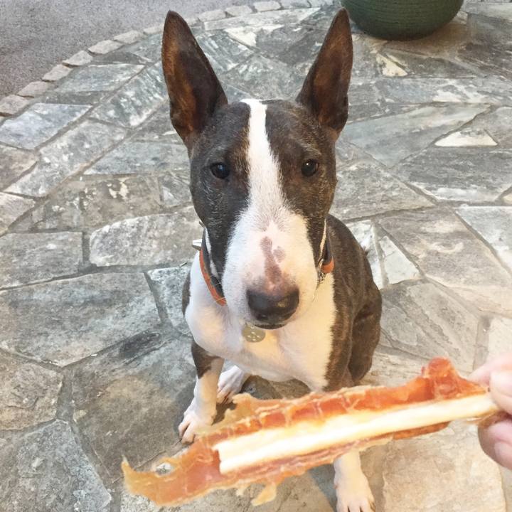 23b33cb6 cd04 4184 8817 16ad7dcbbf76