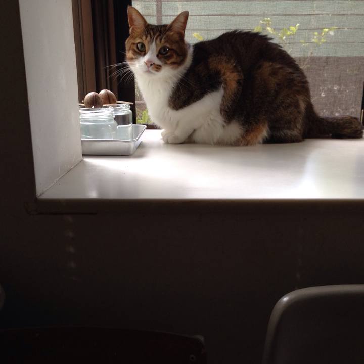 23b3ce44 e115 470e b603 d9679936c665