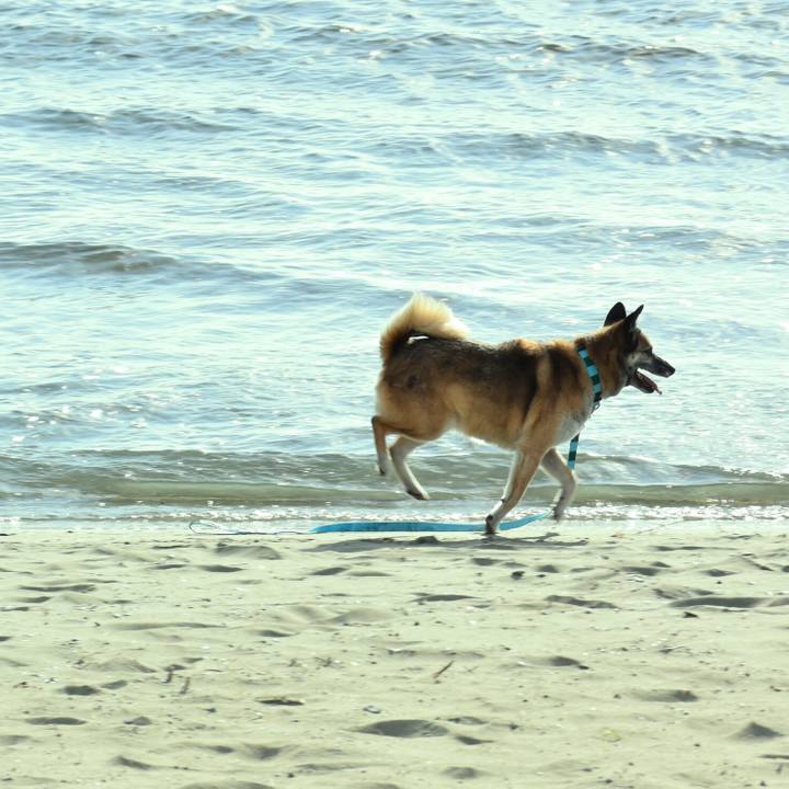 23b41d61 b4c0 4d59 87e4 b4e8276f238b