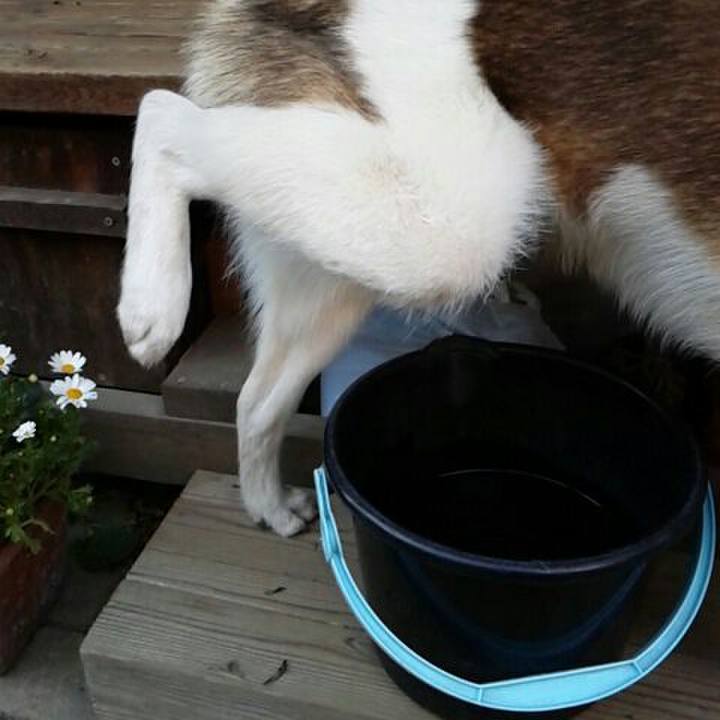 23b439e2 5068 48e9 864c 794bc69e0153