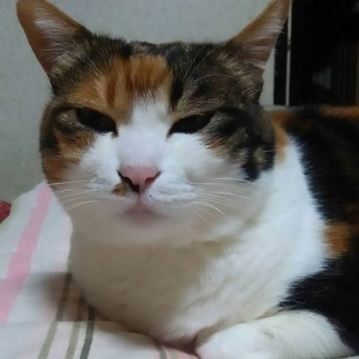 23b45d97 736b 4daf b9f3 c1ba2fa2f783