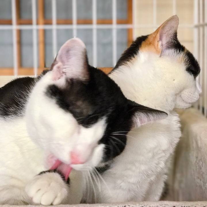 23b46c9d 5b41 4bde 9502 f87d63d9e43e