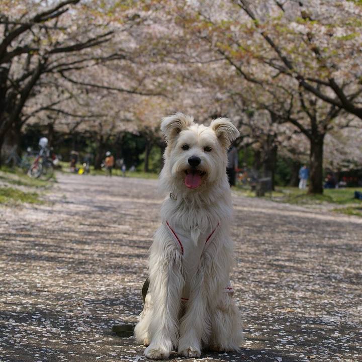 23b47a05 330d 4ebc abaf bf9a762e0fcc