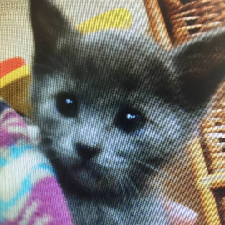 23b5a800 6645 4af8 89cc 2494e3bd033b