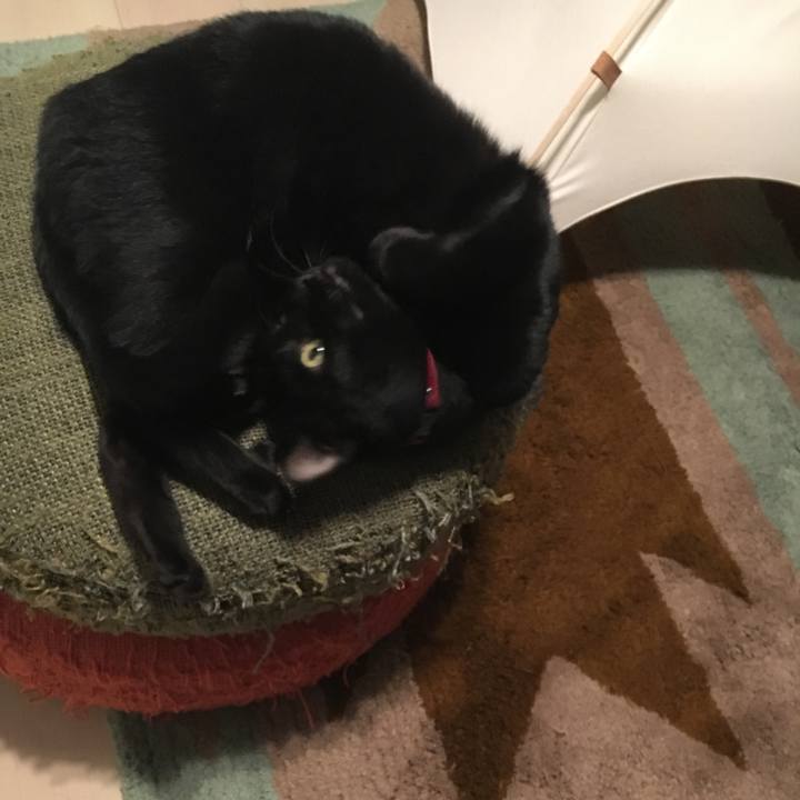 23b5c229 1ab2 4ad5 8336 037b730bb090