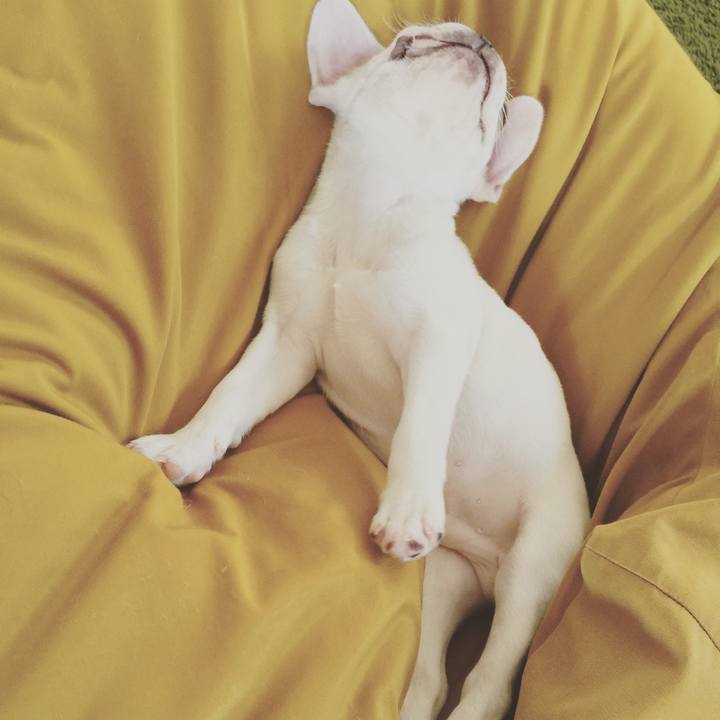 23b68a4b 33af 487b b85e a6ab58994c6c