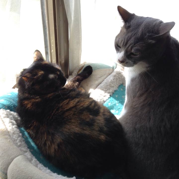 23b6d820 777c 4e21 a3ac 66fb84e6f532