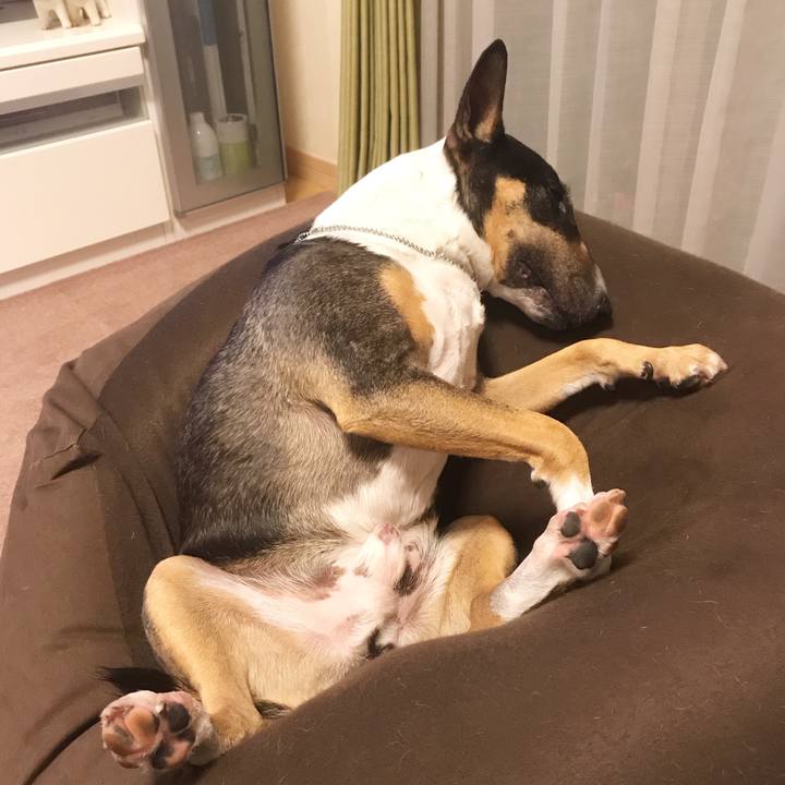 23b78fc1 2af5 4586 95f4 c56abb987e29