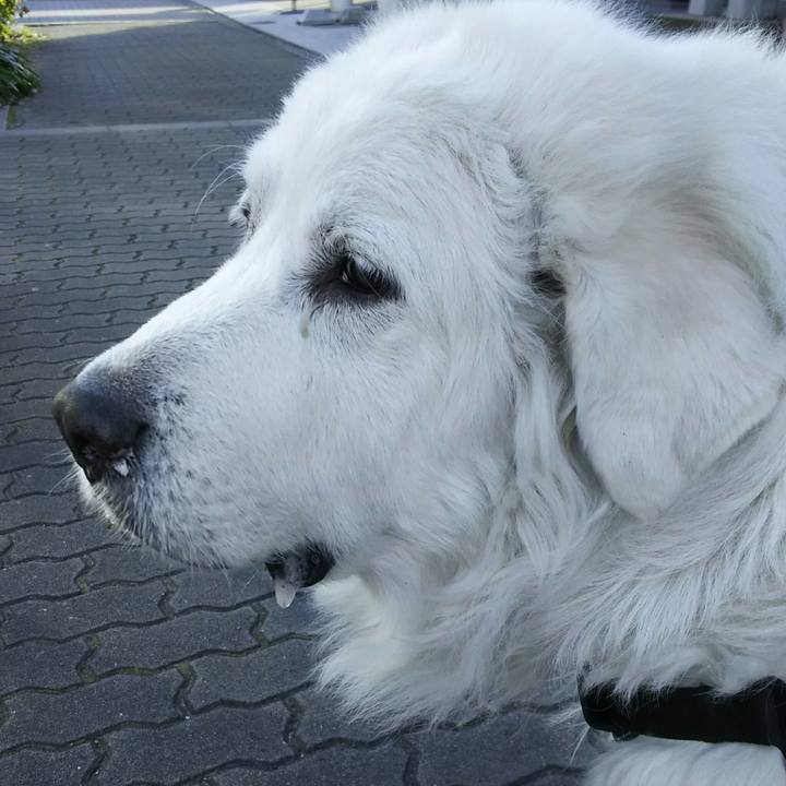 23b7c0b8 aadd 4b9f 8291 4ae3fdb59757