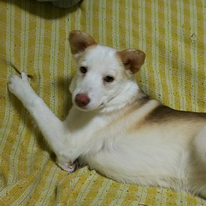 23b945dc b11e 4690 bd9a a22d48063a99