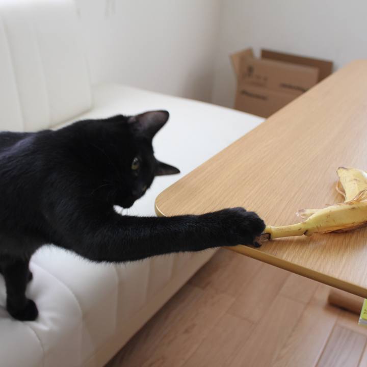 23b9a510 7baa 47a6 b3c4 ac26569988ba