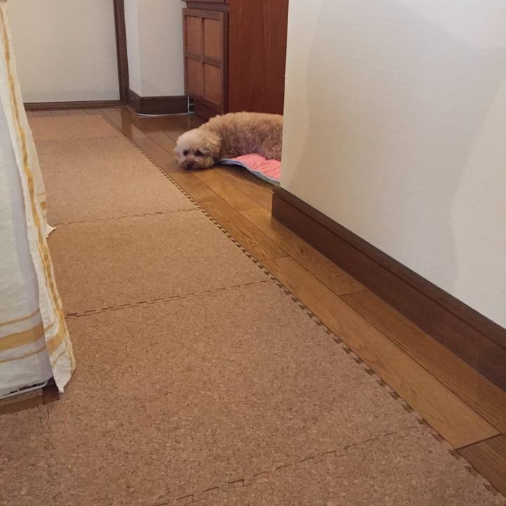 23ba2bd4 072a 4e93 8284 9e2435e0256d