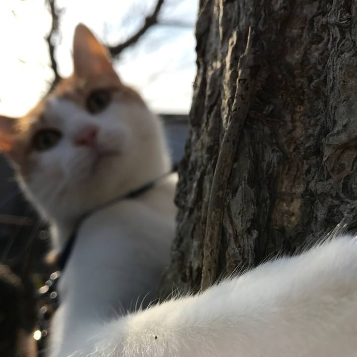 23baea79 57f0 43e5 af86 deccefefa25f