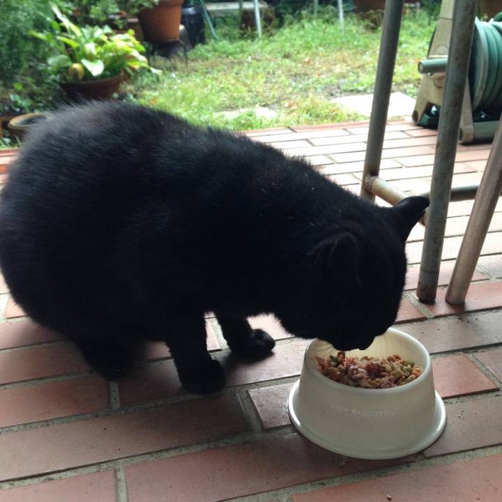 23bb0d3c 3a65 4ad9 96b4 956a892201f0