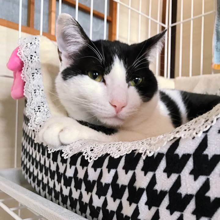 23bba3f4 45f6 4bff 9d23 b611cb539a8b