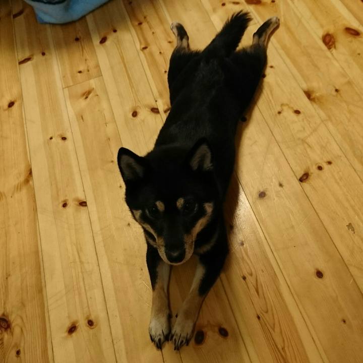 23bbd858 830e 407d a10b 40bb8d1019a4