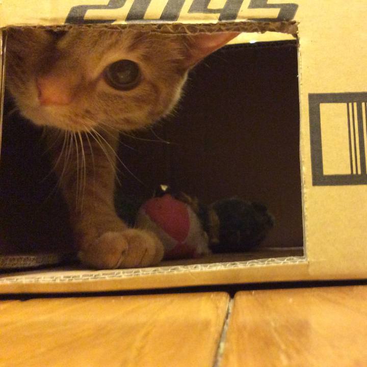 23bc7605 b7d3 4405 b09d a2128f1ec5db