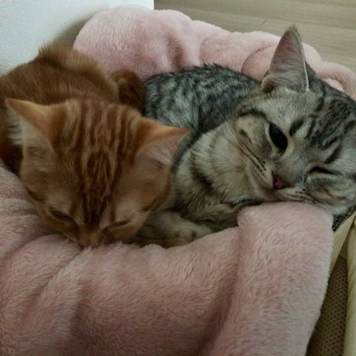 23bc97ff 9d61 4752 ba46 d30d70f34352