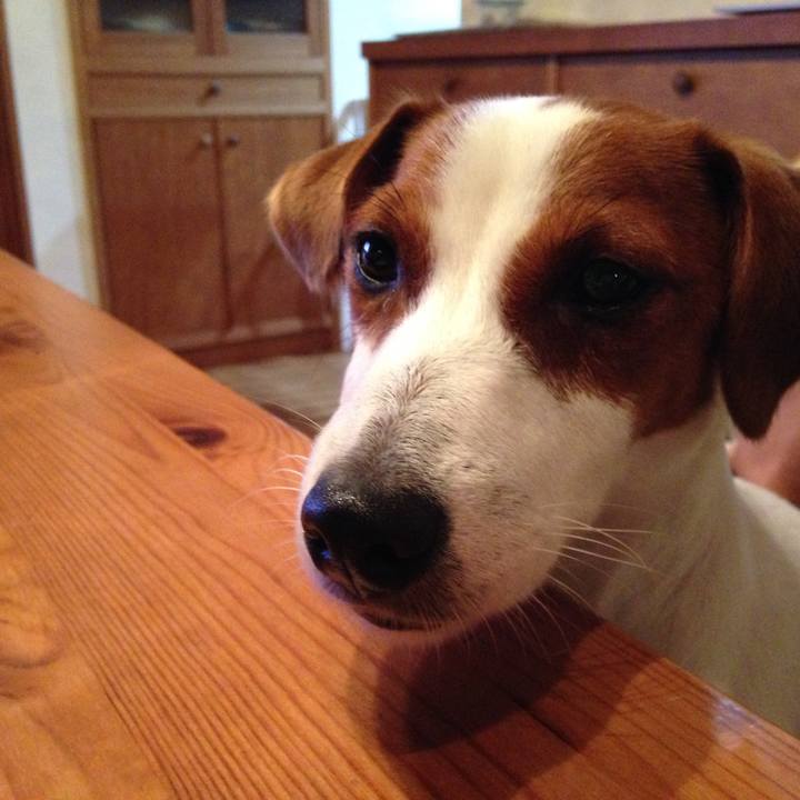 23bcea6d ebb9 4639 9ec5 466052cbcd75