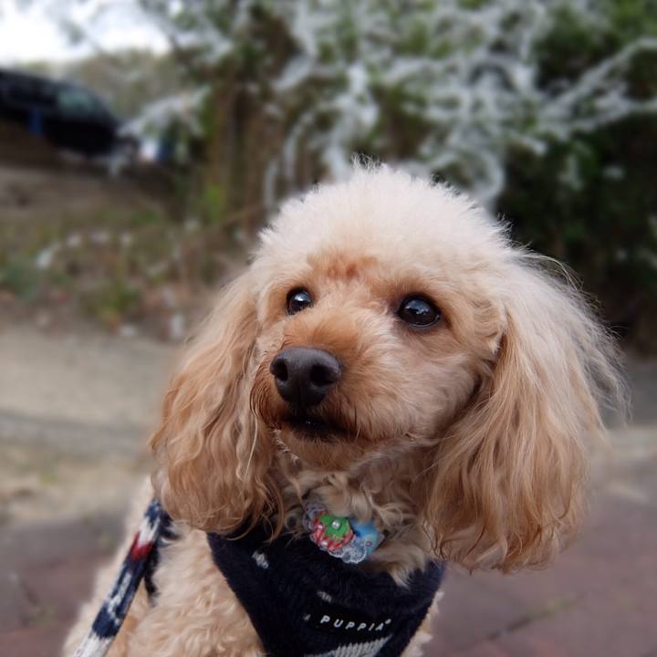 23bd71b8 bff1 49e1 954e 1caa2c95d906