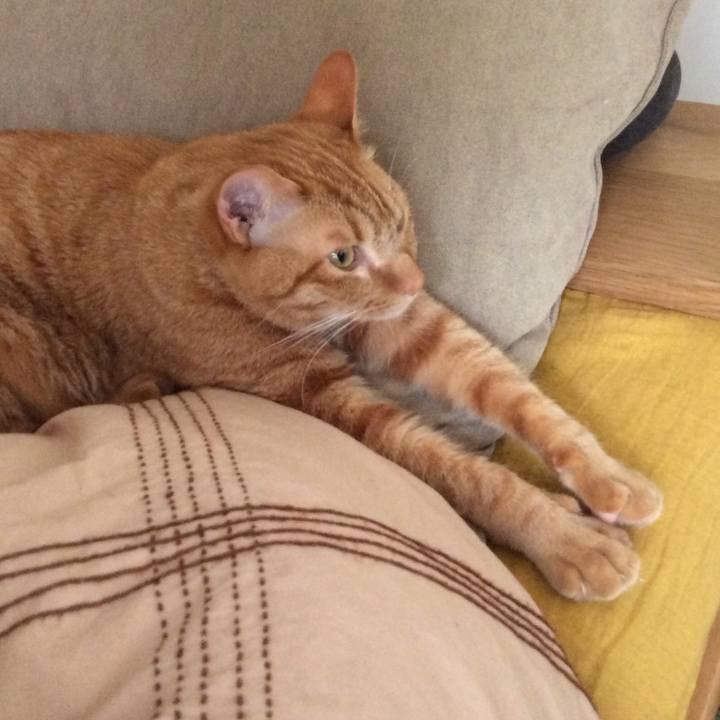 23bdfdab e9e2 4381 ae8a 2093c448b780